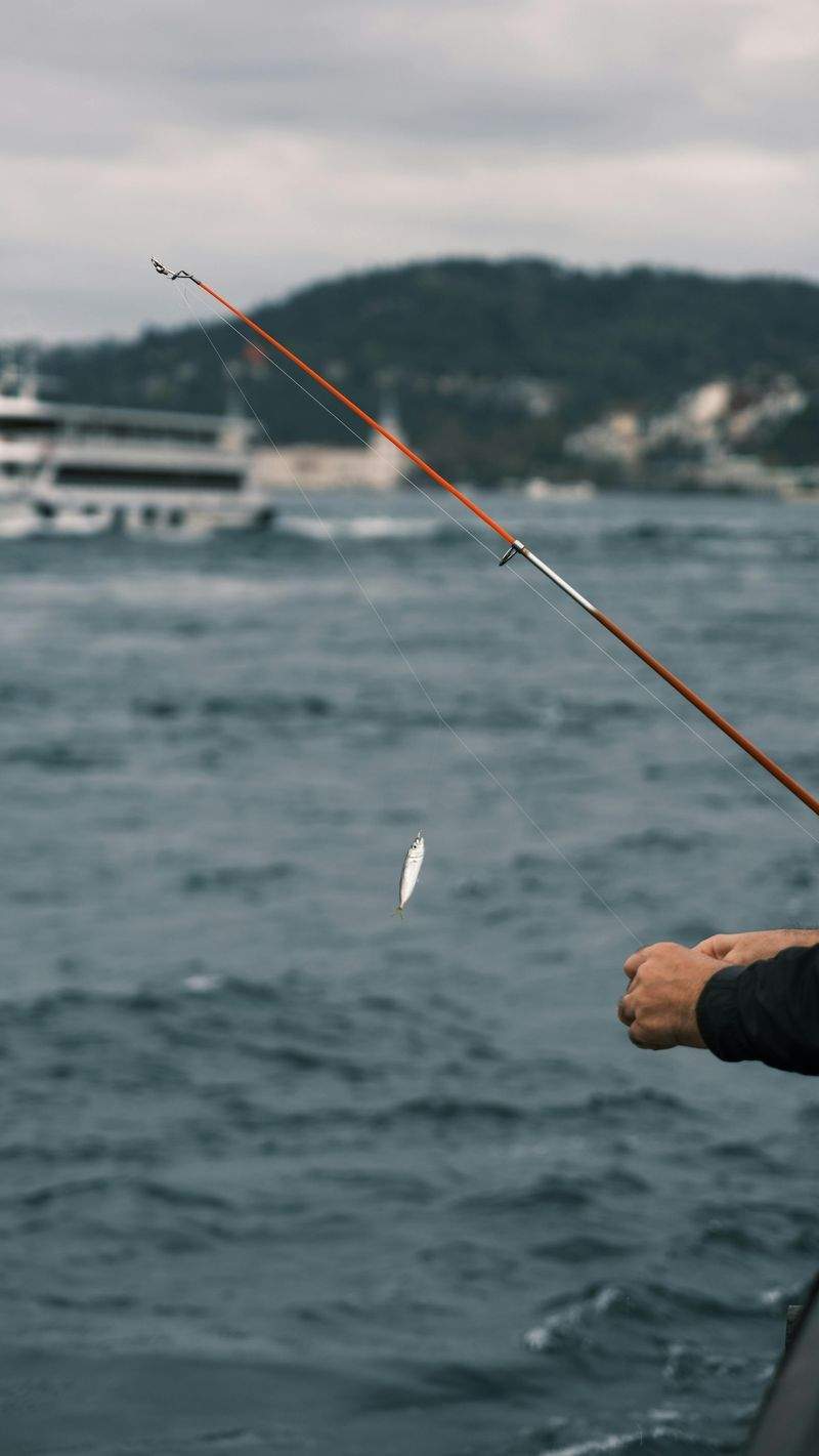 Qué especies puedes encontrar en una excursión de pesca deportiva