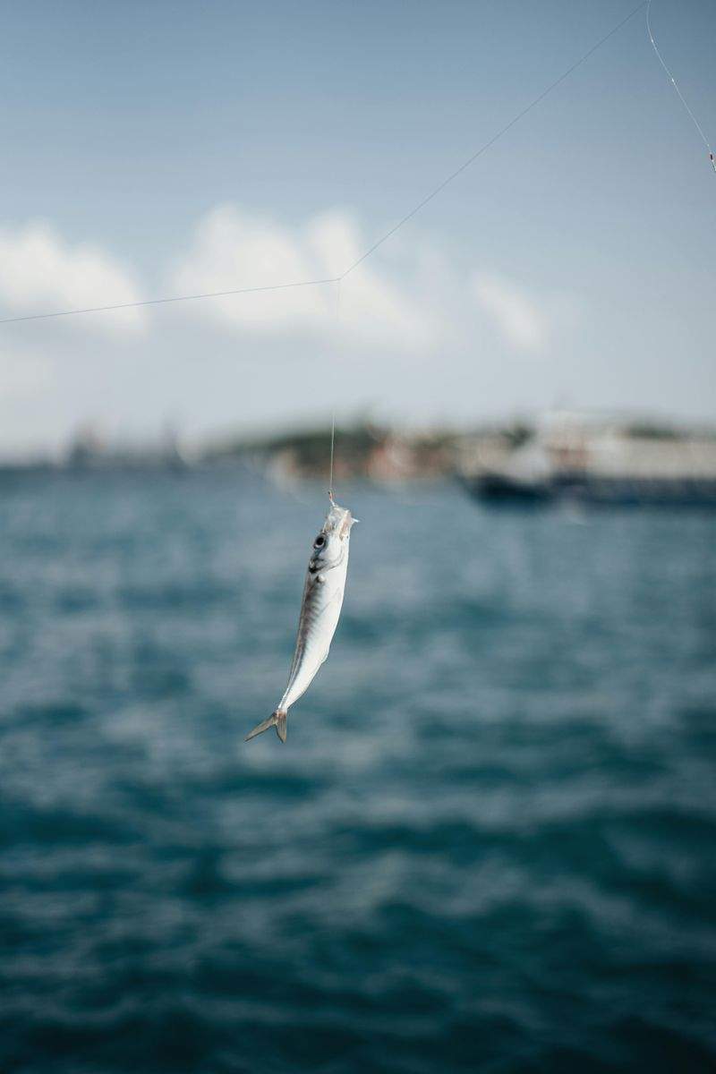 Pesca del Pacífico Nica 15